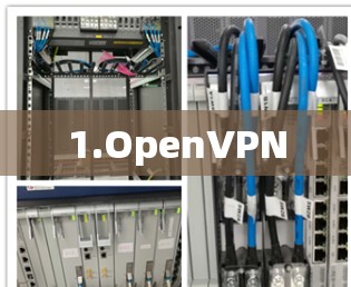 1.OpenVPN 1.OpenVPN