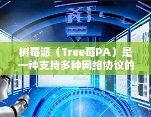 树莓派（Tree莓PA）是一种支持多种网络协议的设备，通常用于VPN、视频会议、文件传输等需求。以下是关于树莓派作为VPN设备的使用方法和步骤