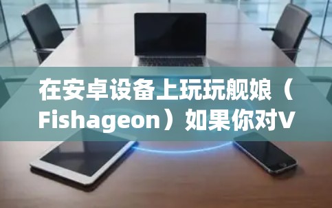 在安卓设备上玩玩舰娘（Fishageon）如果你对VPN有一定的了解，可以尝试在游戏内设置VPN来确保网络的安全和流畅。以下是详细的步骤和注意事项