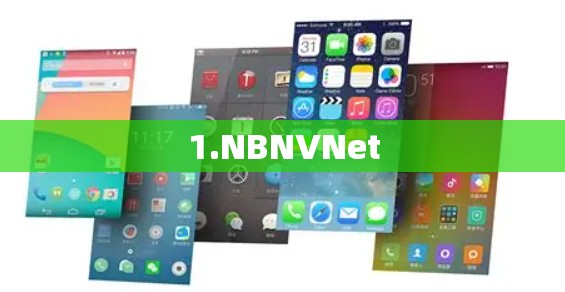 1.NBNVNet 1.NBNVNet