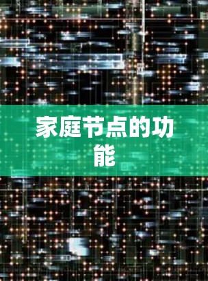 家庭节点的功能 家庭节点的功能