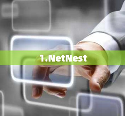 1.NetNest 1.NetNest
