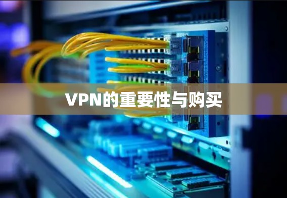 VPN的重要性与购买