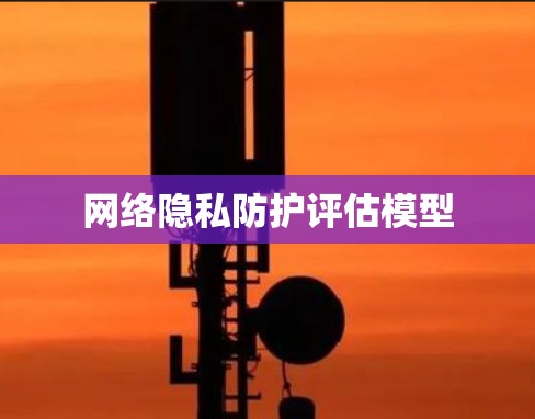 网络隐私防护评估模型
