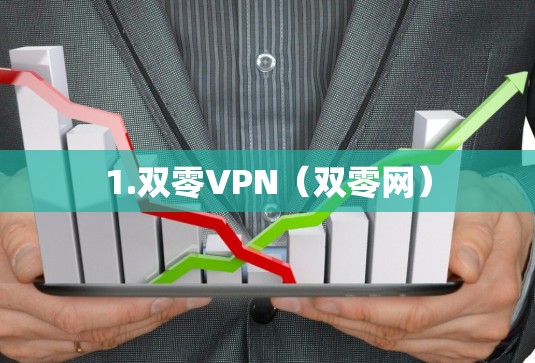 1.双零VPN(双零网) 1.双零VPN(双零网)