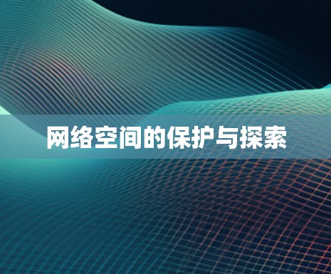 网络空间的保护与探索 网络空间的保护与探索