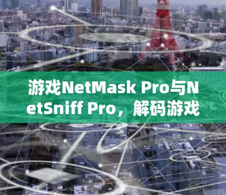 游戏NetMask Pro与NetSniff Pro，解码游戏世界，探索网络之谜