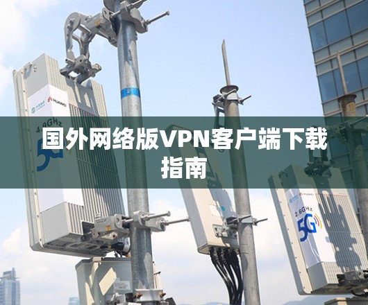 国外网络版VPN客户端下载指南