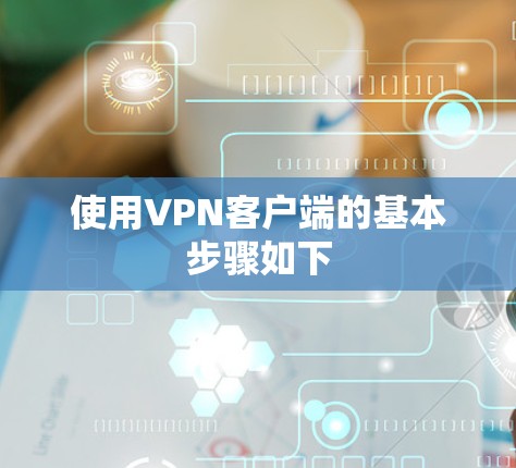 使用VPN客户端的基本步骤如下