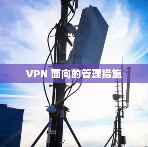 VPN 面向的管理措施 VPN 面向的管理措施