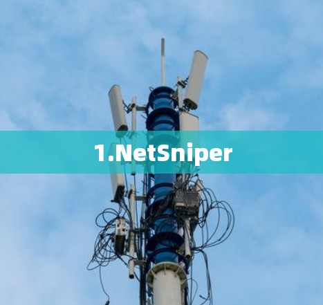 1.NetSniper
