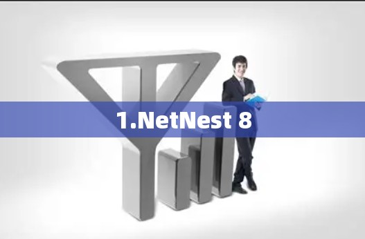 1.NetNest 8