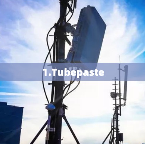 1.Tubepaste