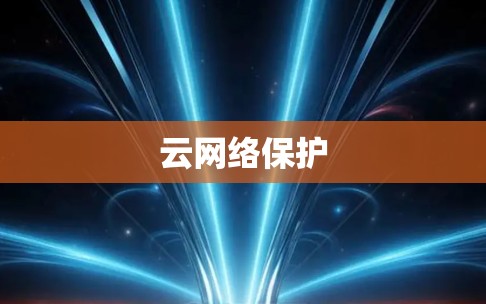 云网络保护