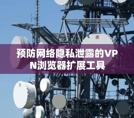 预防网络隐私泄露的VPN浏览器扩展工具