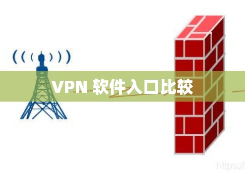 VPN 软件入口比较