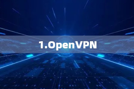 1.OpenVPN 1.OpenVPN