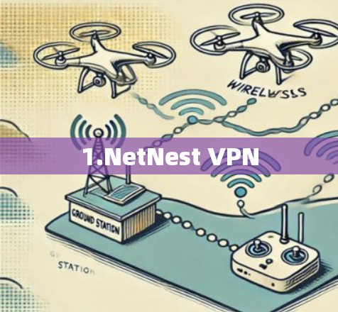 1.NetNest VPN