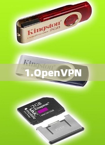 1.OpenVPN 1.OpenVPN