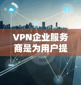 VPN企业服务商是为用户提供安全、高效的数据传输服务的专业机构。以下是对 VPN 企业服务商的详细分析