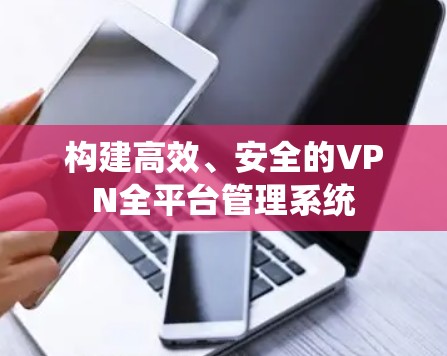 构建高效、安全的VPN全平台管理系统 构建高效、安全的VPN全平台管理系统
