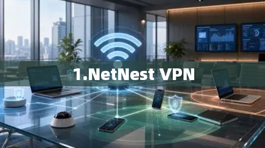 1.NetNest VPN