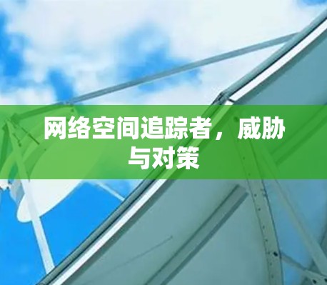 网络空间追踪者，威胁与对策