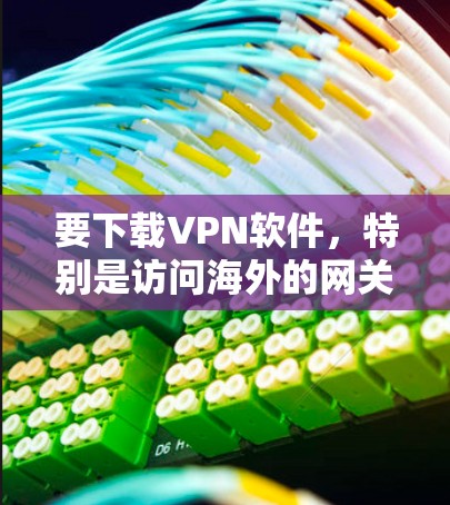 要下载VPN软件，特别是访问海外的网关（如IPAN、abroad、NetNest等）需要遵循以下步骤