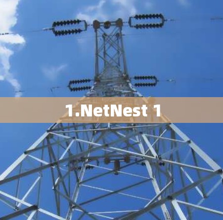 1.NetNest 1