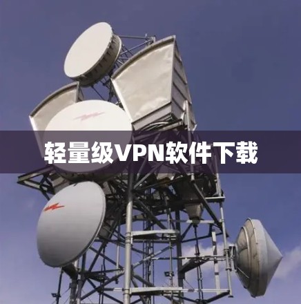轻量级VPN软件下载