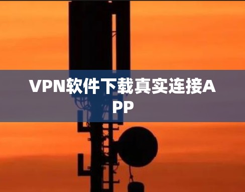 VPN软件下载真实连接APP