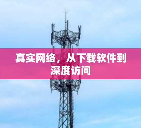 真实网络，从下载软件到深度访问