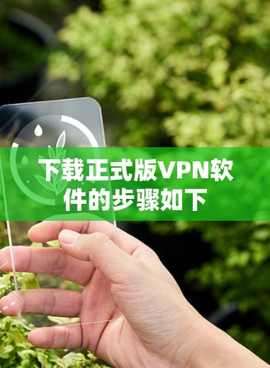 下载正式版VPN软件的步骤如下