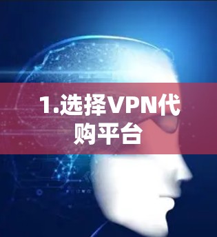 1.选择VPN代购平台