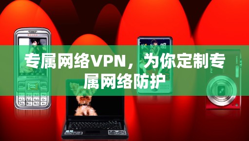 专属网络VPN,为你定制专属网络防护