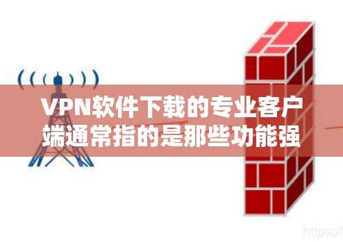VPN软件下载的专业客户端通常指的是那些功能强大、功能全面、易于使用的客户端，而不是简单的工具。以下是一些推荐的VPN客户端，它们通常支持多种协议、有用户反馈，且功能较为专业