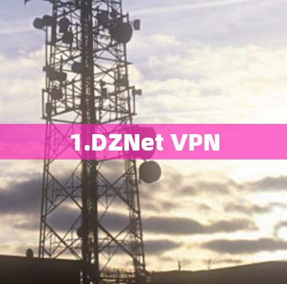 1.DZNet VPN