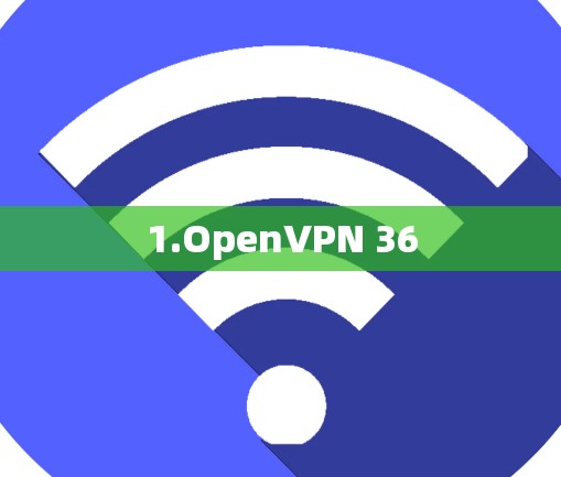 1.OpenVPN 36