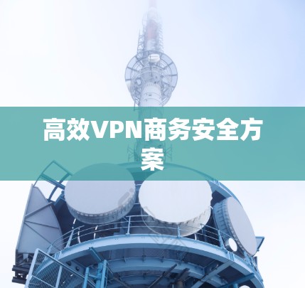 高效VPN商务安全方案