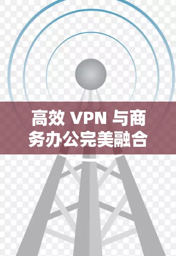 高效 VPN 与商务办公完美融合
