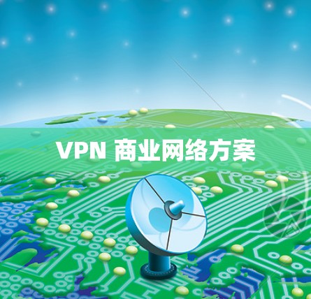VPN 商业网络方案
